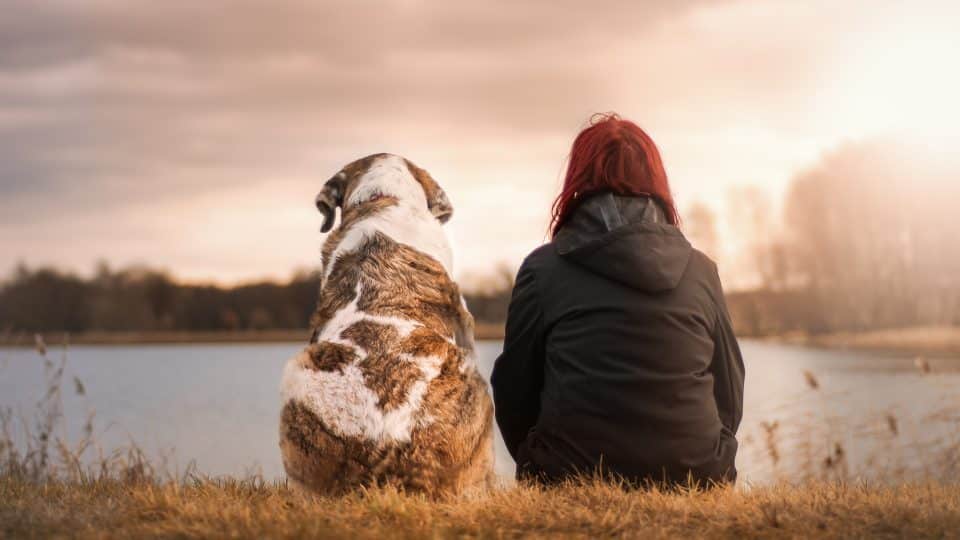 Five reasons why a dog is a man’s best friend