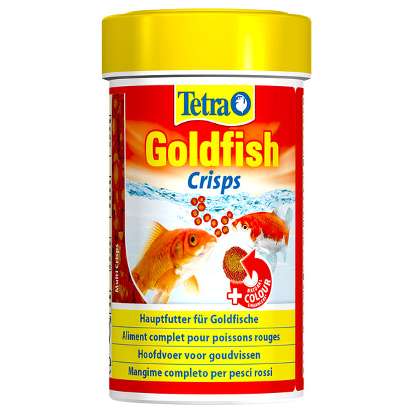 Goldfish Food fish