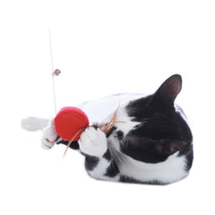 Hunter - Cat Toy "By Laura" Dangler Ball