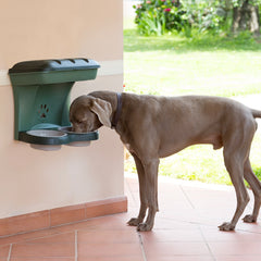 Bama Pet - Hung On Wall Food Stand