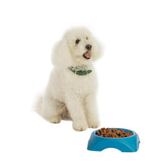 Bama Pet - Bowls for Dogs and Cats