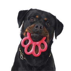 Bama Pet - Dog Toy Orma