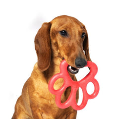 Bama Pet - Dog Toy Orma