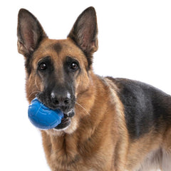 Bama Pet - Dog Toy Ball Riga Asso. Colours