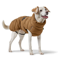 Hunter - Paxson dog coat