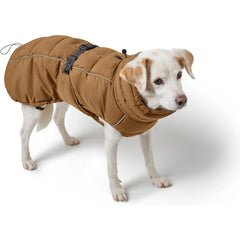 Hunter - Paxson dog coat