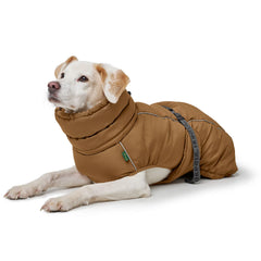 Hunter - Paxson dog coat