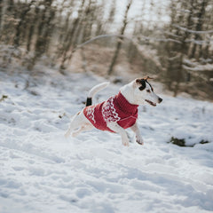 Hunter - Dog pullover Birka