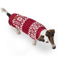 Hunter - Dog pullover Birka