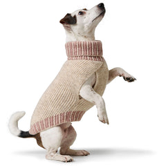 Hunter - Dog pullover Odense with cap (set)