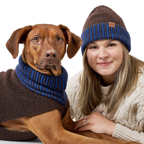 Hunter - Dog pullover Odense with cap (set)