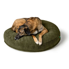 Hunter - Dog Cushion Kumara