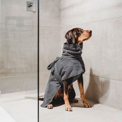 Hunter - Dog Bathrobe Riga