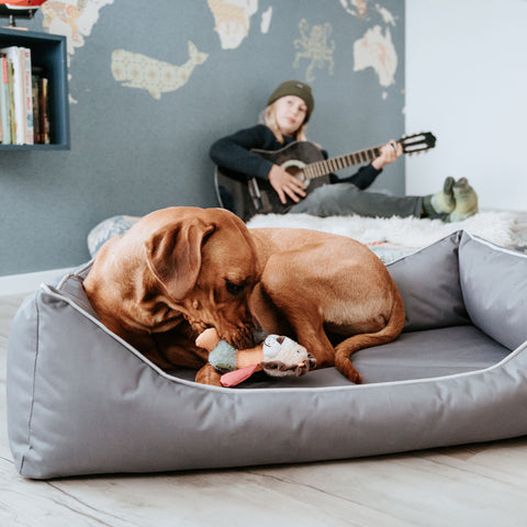 Hunter - Orthopaedic Dog Sofa Cleveland