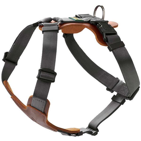 Leather Harness Dogs