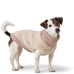 Hunter - Dog pullover Odense with cap (set)