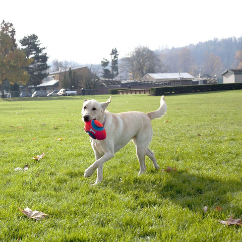 Chuckit - Fumble Fetch S