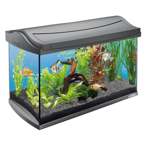 Tetra - Aquarium Aqua Art Complete Set 60L 61.5x34x43cm - zoofast-shop