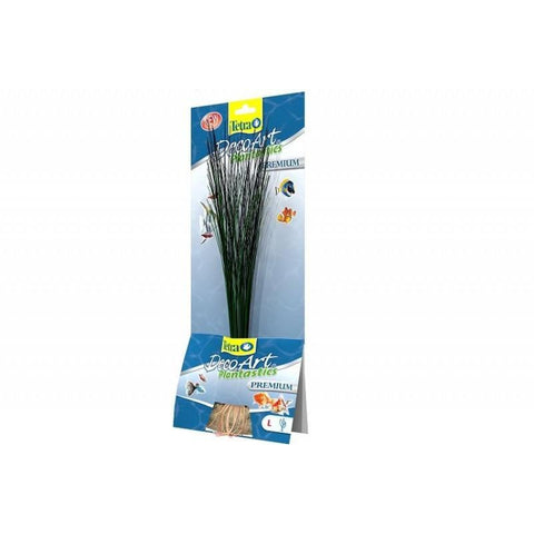 Tetra - Plant Premium Hairgrass - zoofast-shop