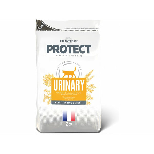 Protect Dry Food Cat