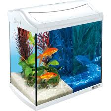 Tetra - Aquarium Aqua Art Led Goldfish
