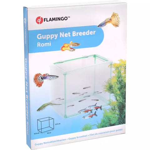 Flamingo - Breeder Net Romi