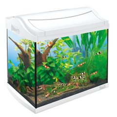 Tetra - Aquarium Aqua Art Shrimps Comp. Set 20L 39.5x28x33cm - zoofast-shop