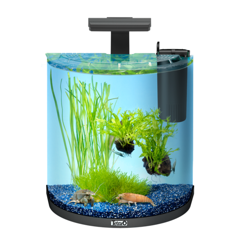 Tetra - Aquarium Aqua Art Exp. Line Crayfish Comp. Set Black 30L