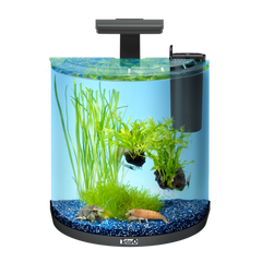 Tetra - Aquarium Aqua Art Exp. Line Crayfish Comp. Set Black 30L - zoofast-shop