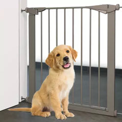 Flamingo - Dog Barrier Salus Grey