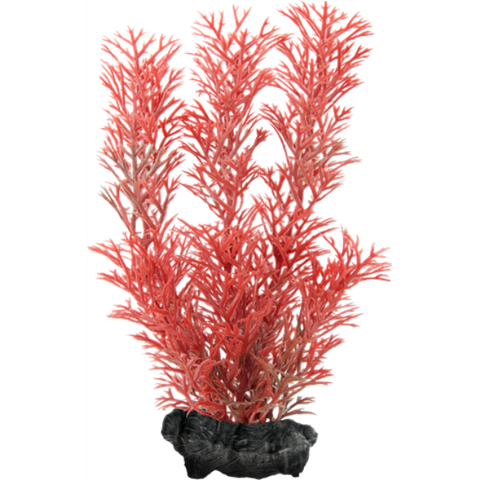 Tetra – Aquarium Decoration Foxtail Red Plant