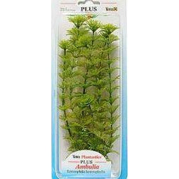 Tetra - Plant Plus Ambulia