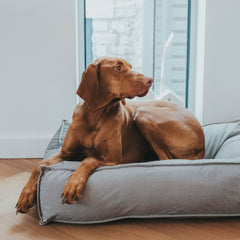 Hunter – Lancaster Quilted Dog Bed