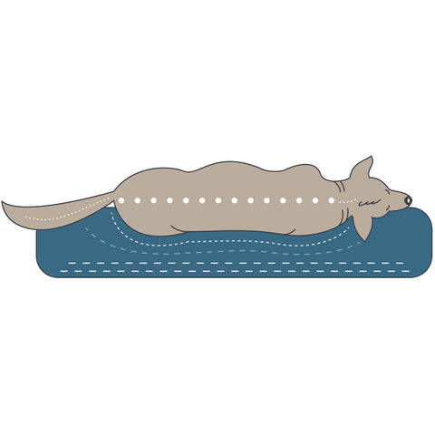 Hunter – Orthopedic Livingston Anthracite Dog Sofa