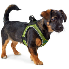 Hunter – Dog Harness Hilo Comfort
