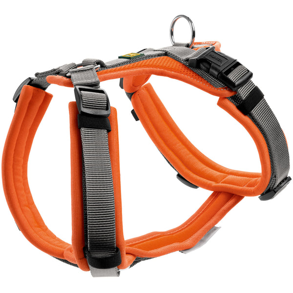 Hunter - Harness Maldon