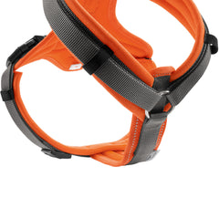 Hunter - Harness Maldon