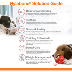Nylabone – Extreme Pro Action Dental Bone