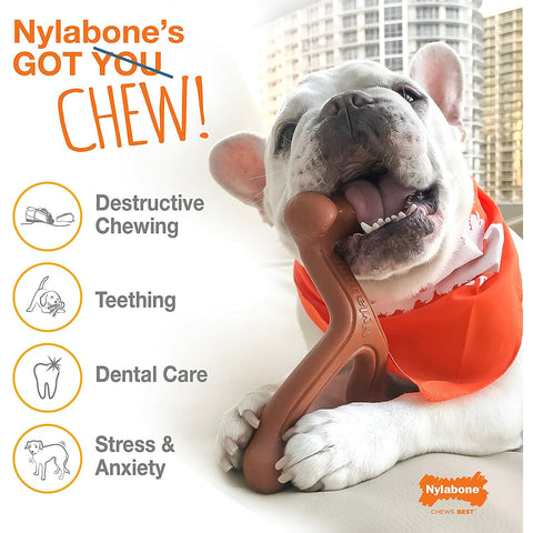 Nylabone – Extreme Pro Action Dental Bone