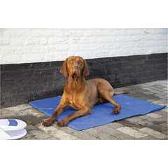 Flamingo – Cooling Pad For Dog