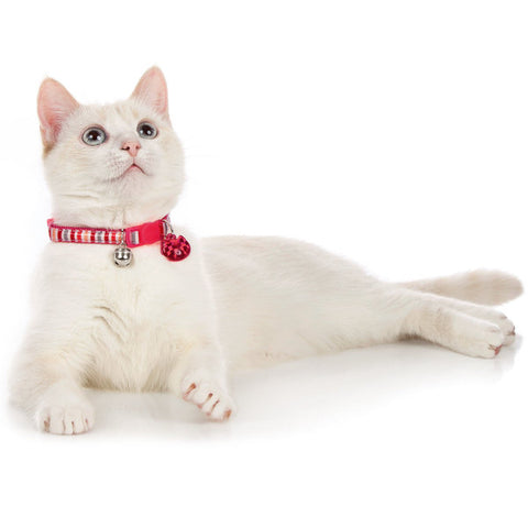 Hunter - Collar For Cat Glossy Stripes