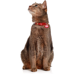 Hunter - Cat Collar Krokom