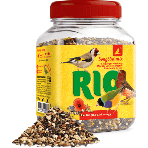 Rio – Songbird Mix
