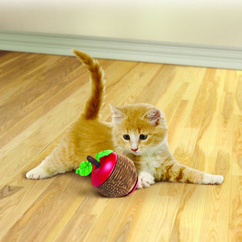 Kong – Scratch Apple With Refillable Catnip Core