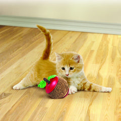 Kong – Scratch Apple With Refillable Catnip Core