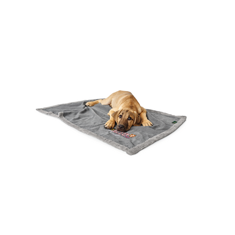 Hunter - Blanket For Dog University - zoofast-shop