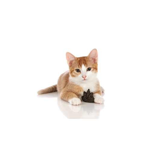 Hunter - Toy For Cat Catnip Maple Leaf 4.5x4.5x2cm - zoofast-shop