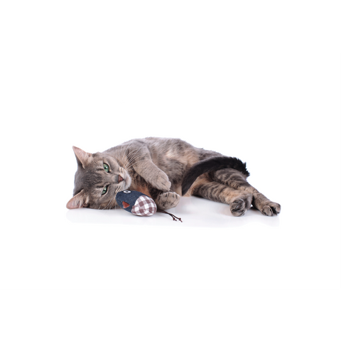 Hunter - Toy For Cat Elroy Bird - zoofast-shop