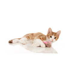 Hunter - Toy For Cat Mouse With Catnip & Sound 5cm - zoofast-shop