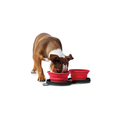 Hunter - Bowl With Bag For Dogs Silicone Travel List 750ml - zoofast-shop